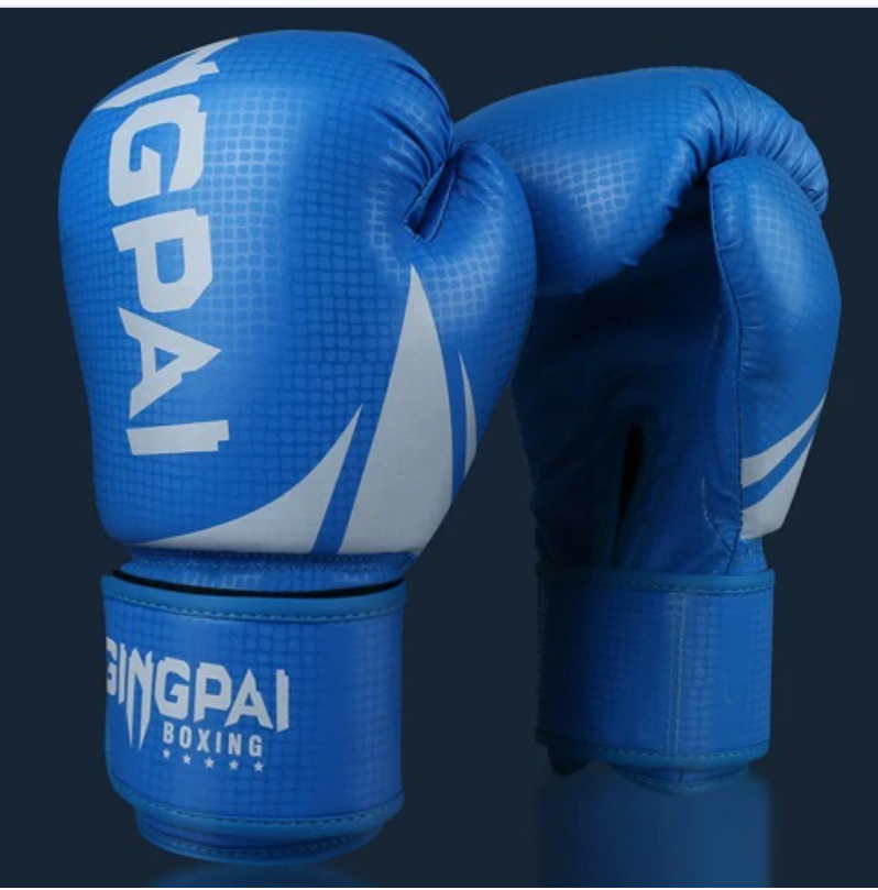 Starter Boxing Gloves