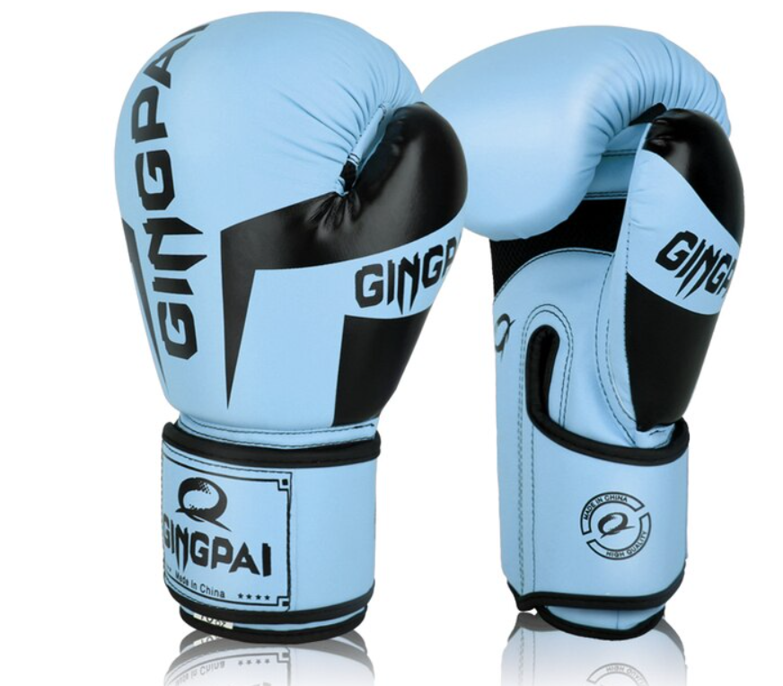 Starter Boxing Gloves