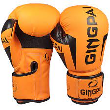 Starter Boxing Gloves